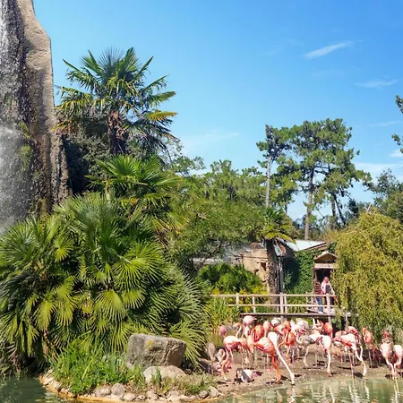 Apartamento 2 Bedroom Amazing In Royan